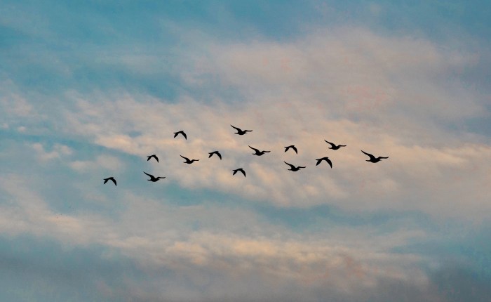 Migration to Coveo Cloud: Lessons Learned While Troubleshooting an Issue with the Security Identities Permissions&nbsp;Synchronization