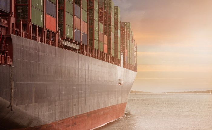 Sitecore Docker: How to Restore Databases Using Backups in a SQL Container